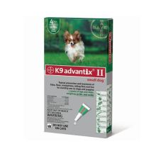 Flea and Tick Control for Dogs Under 10 lbs (Month Supply: 4 Months, Dog Size: Under 10 lbs)