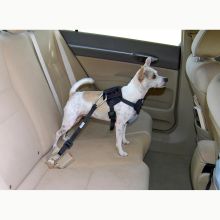 Dog Travel Harness (Color: Blue, Size: Small)