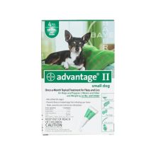 Flea Control for Dogs and Puppies Under 10 lbs (Month Supply: 4 Months, Dog Size: Under 10 lbs)