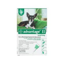 Flea Control for Dogs and Puppies Under 10 lbs (Month Supply: 6 Months, Dog Size: Under 10 lbs)