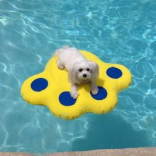 Doggy Lazy Raft (Color: Yellow, Size: Small)