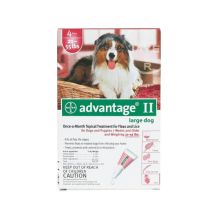 Flea Control for Dogs and Puppies 21-55 lbs (Month Supply: 4 Months, Dog Size: 21-55 lbs)
